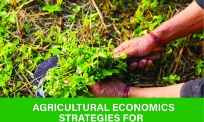 Discover top agricultural economics strategies for sustainable farming success. Boost efficiency and profits. Learn more with expert tips now!