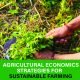 Discover top agricultural economics strategies for sustainable farming success. Boost efficiency and profits. Learn more with expert tips now!