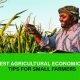 "Discover essential agricultural economics tips to help small farmers boost productivity and sustainability. Learn more for practical strategies today!"