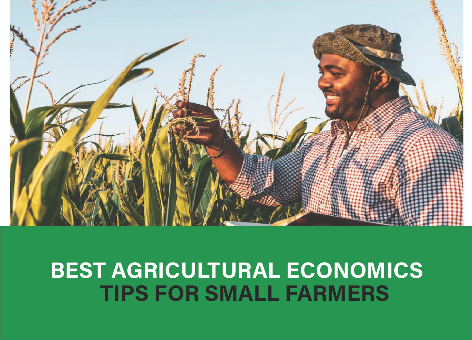 "Discover essential agricultural economics tips to help small farmers boost productivity and sustainability. Learn more for practical strategies today!"