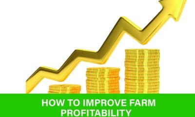 Discover how economic strategies can increase farm profitability. Learn data-driven methods and boost your returns. Learn more today!