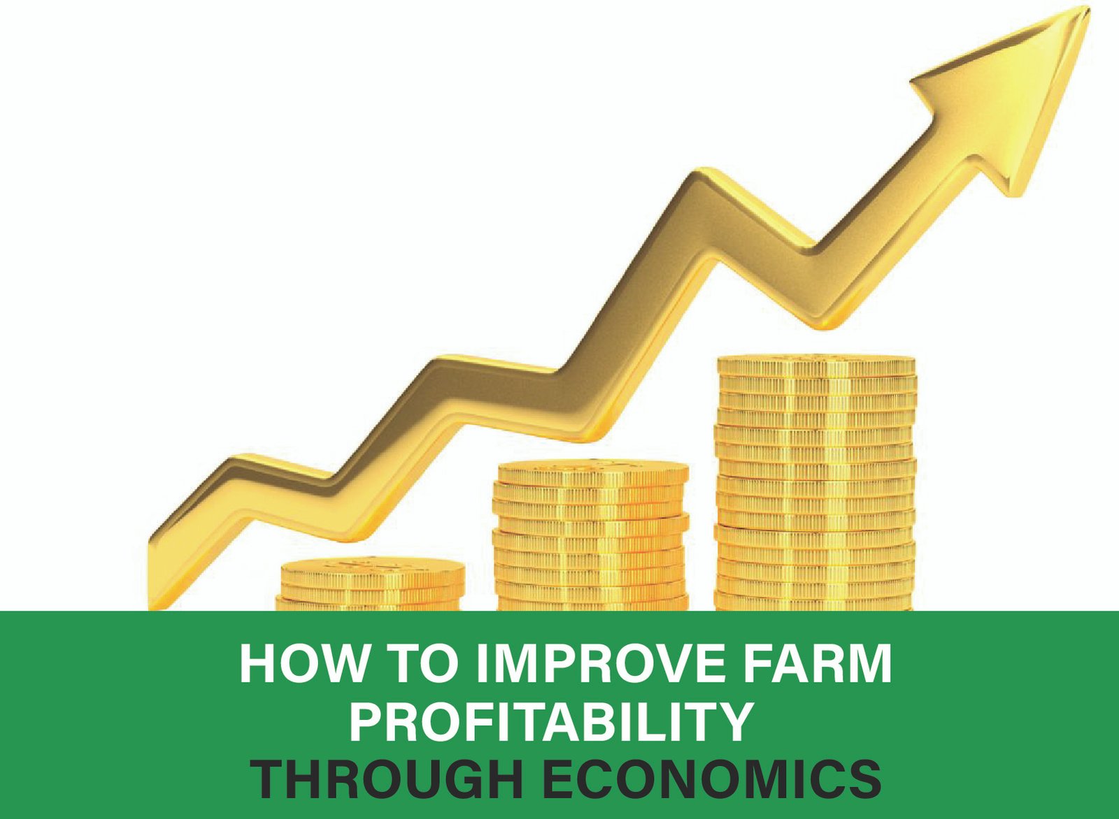 Discover how economic strategies can increase farm profitability. Learn data-driven methods and boost your returns. Learn more today!