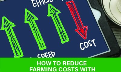 Discover how to reduce farming costs with economic strategies that boost profit and cut waste. Learn more inside this smart guide.