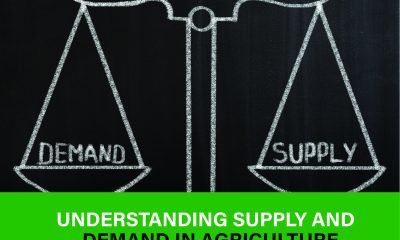 Explore how supply and demand shape agriculture markets. Learn key factors, trends, and strategies. Click to understand more today!