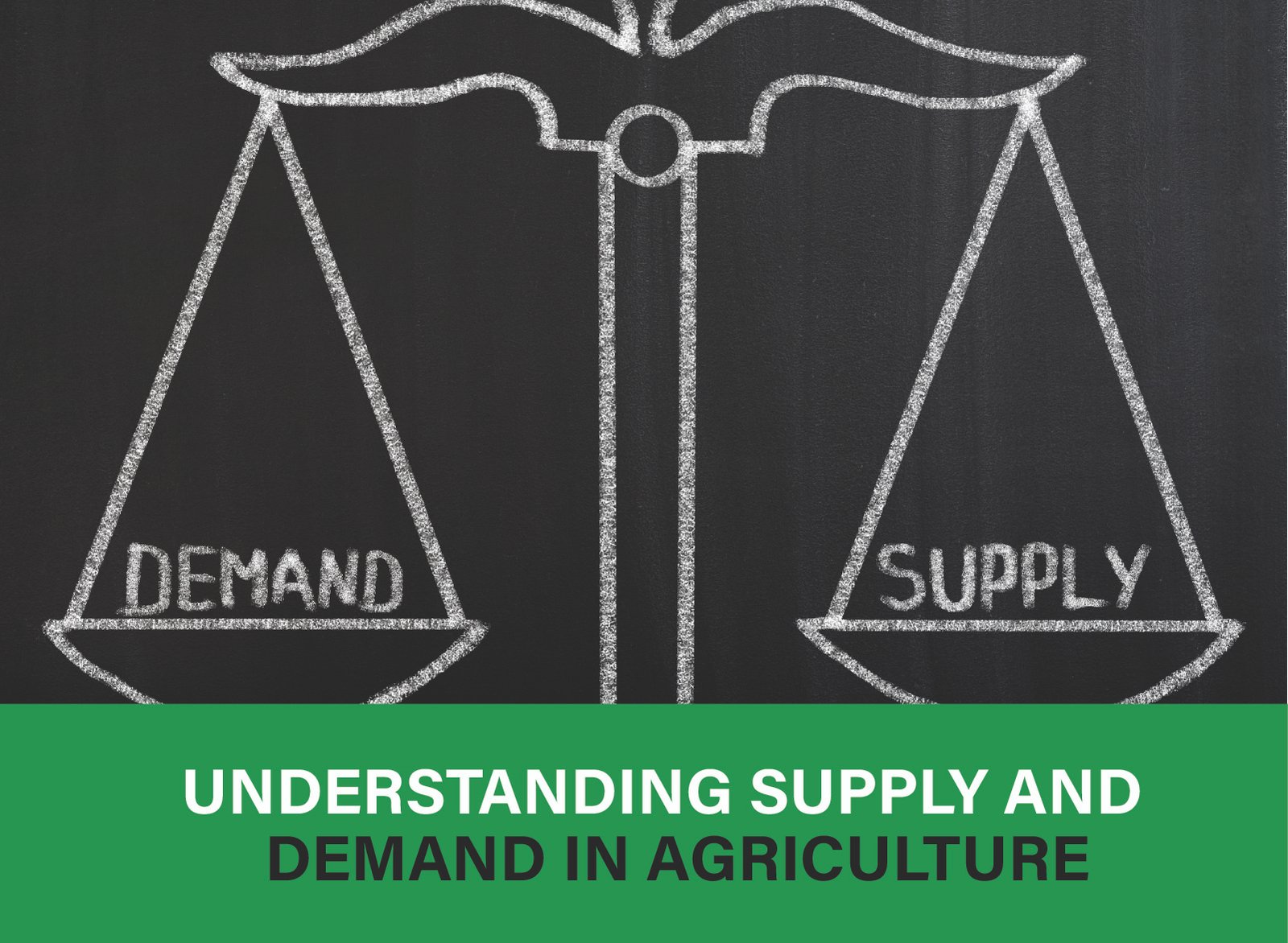 Explore how supply and demand shape agriculture markets. Learn key factors, trends, and strategies. Click to understand more today!