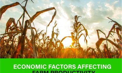 Learn how key economic factors influence farm productivity. Explore strategies to boost yields and reduce costs. Click to learn more!
