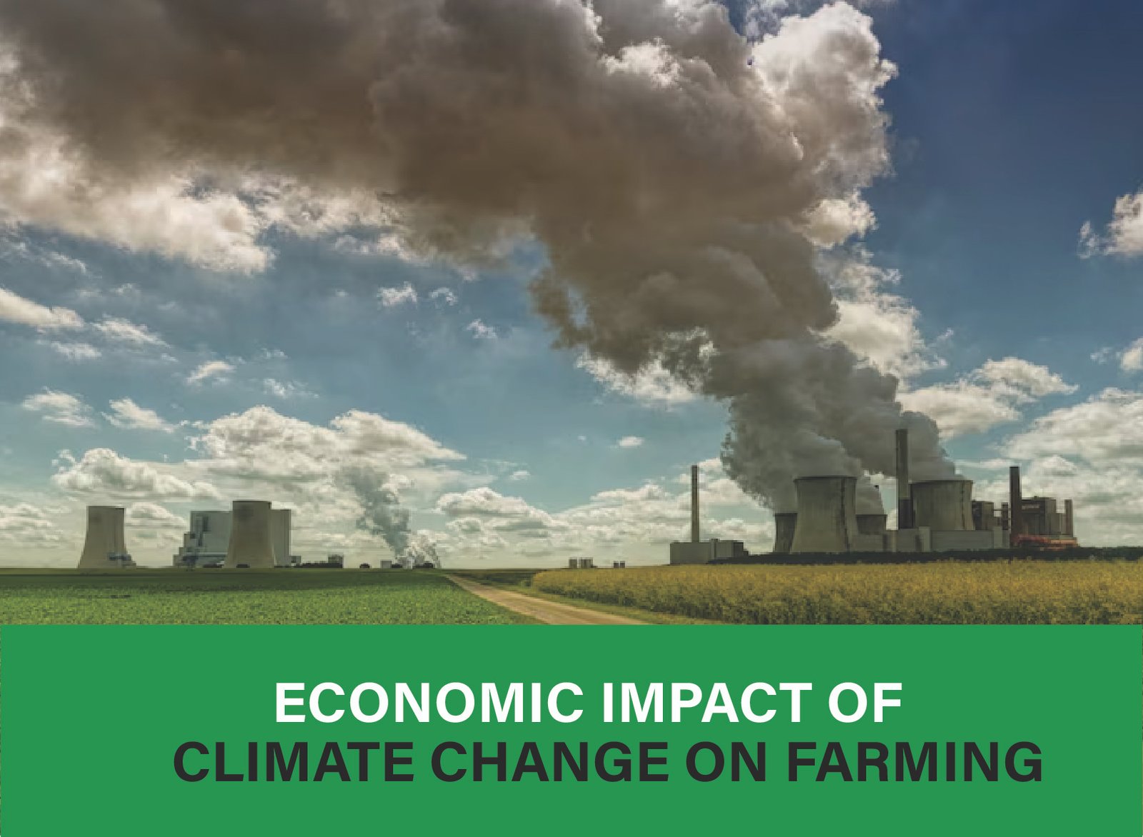 Discover how climate change impacts farming income, crop yields, and costs. Learn more about sustainable solutions to protect profitability.