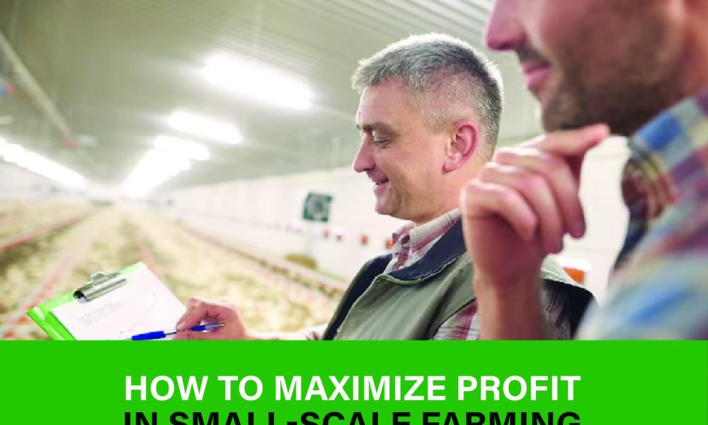 Discover smart strategies to boost small-scale farm income through crop selection, marketing, tech tools & more.