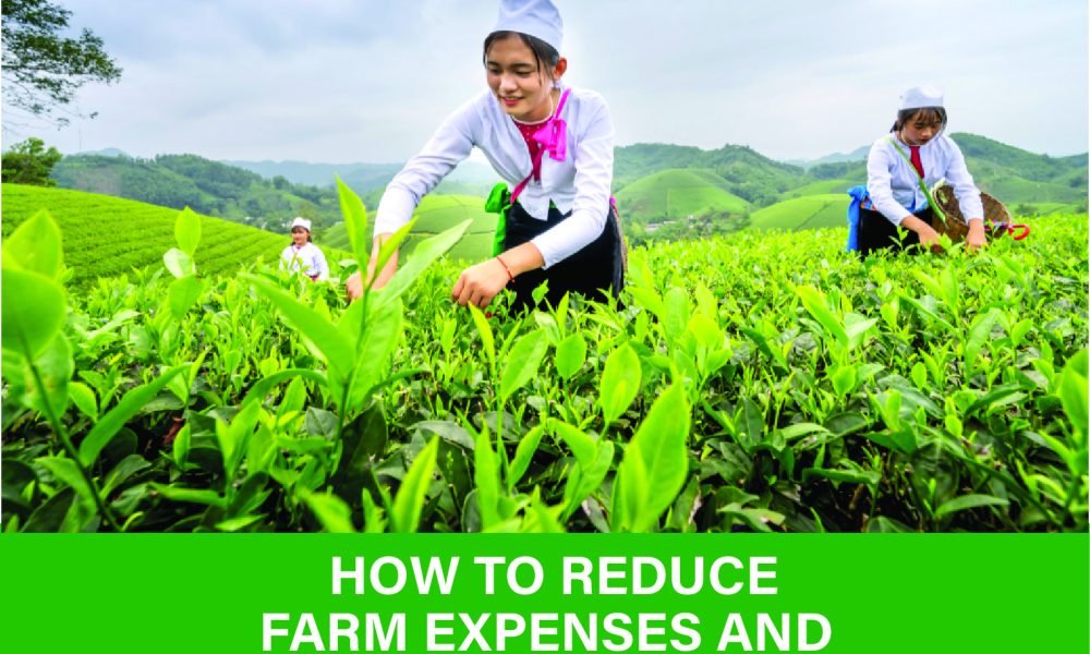 Learn how to cut farm costs and increase income through diversification, technology, and sustainable practices. Start improving your farm’s profitability today!