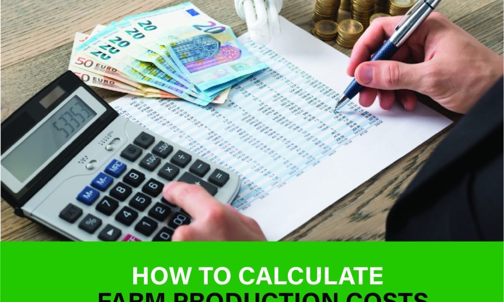 Farmer analyzing production costs to control expenses, set fair prices, and boost long-term farm profitability