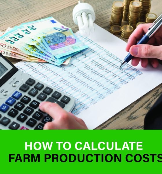 Farmer analyzing production costs to control expenses, set fair prices, and boost long-term farm profitability