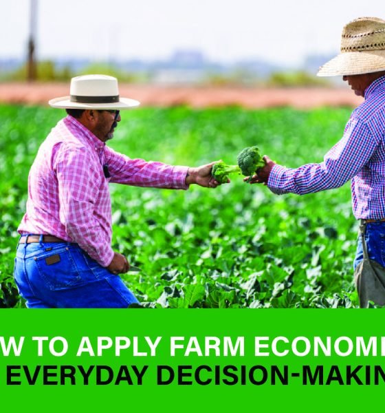 Farmer applying economic principles to balance costs, manage resources, and make smarter financial decisions daily