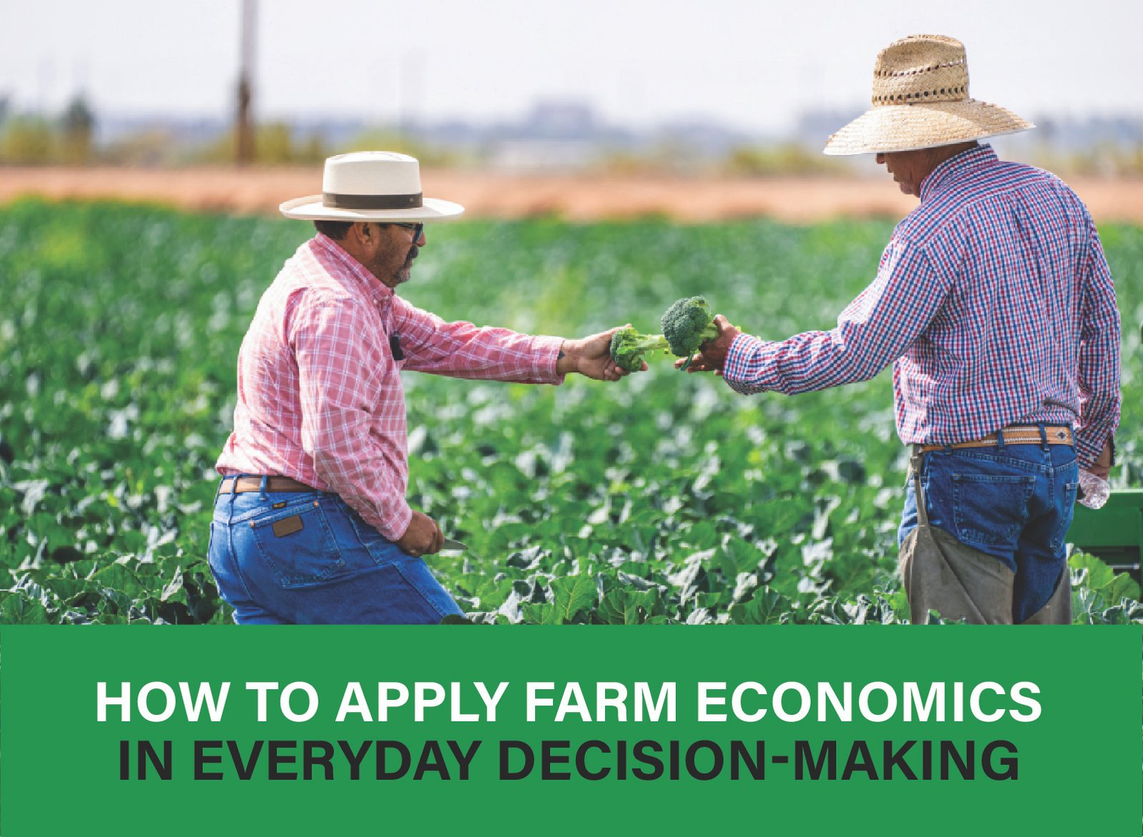 Farmer applying economic principles to balance costs, manage resources, and make smarter financial decisions daily