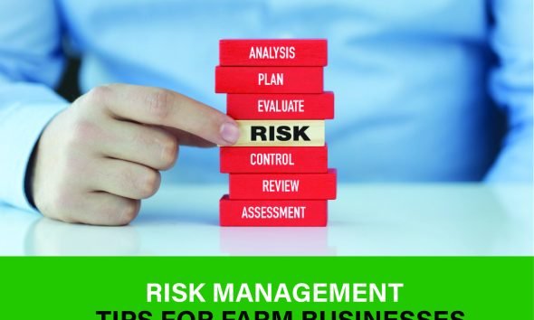 Farmer applying risk management strategies to safeguard crops, reduce losses, and ensure long-term farm success