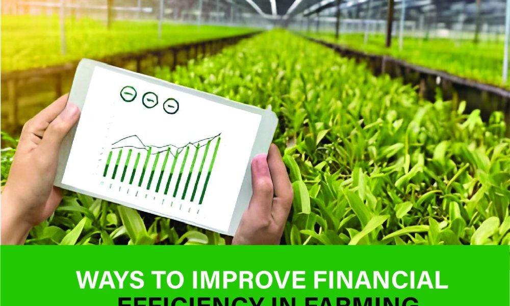 Farmer adopting smart strategies to cut costs, optimize resources, and improve financial efficiency in farming